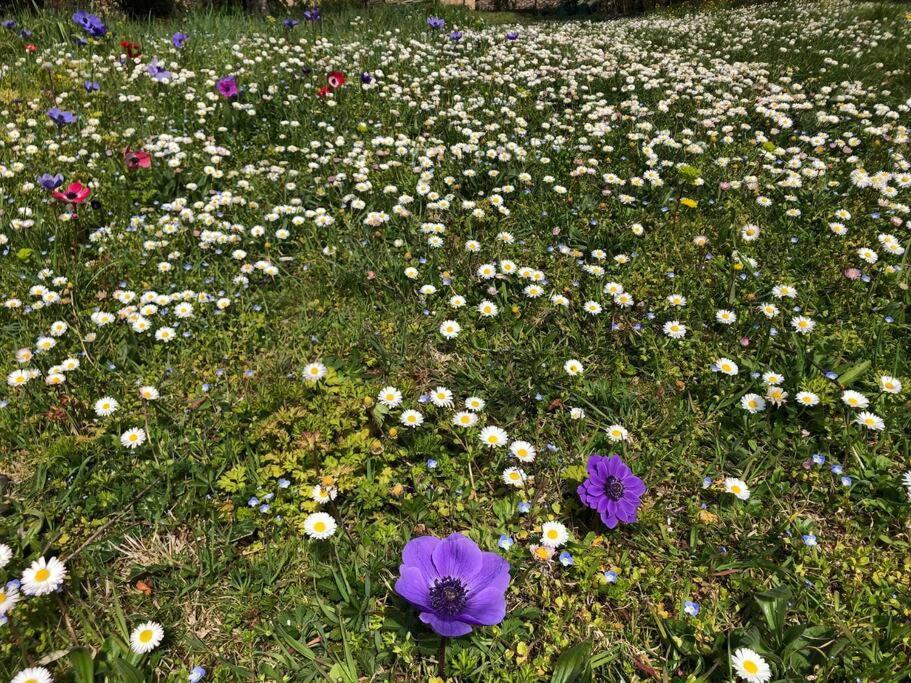 La Vigna Agriturismo Villa Siena Dış mekan fotoğraf