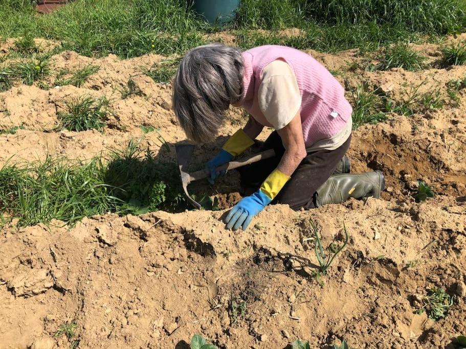 La Vigna Agriturismo Villa Siena Dış mekan fotoğraf