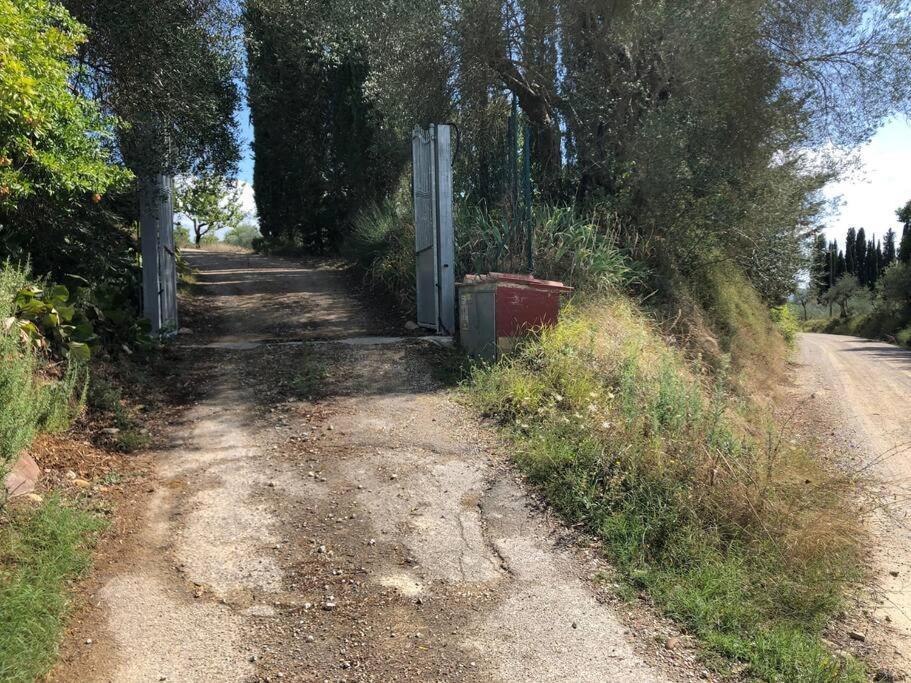 La Vigna Agriturismo Villa Siena Dış mekan fotoğraf