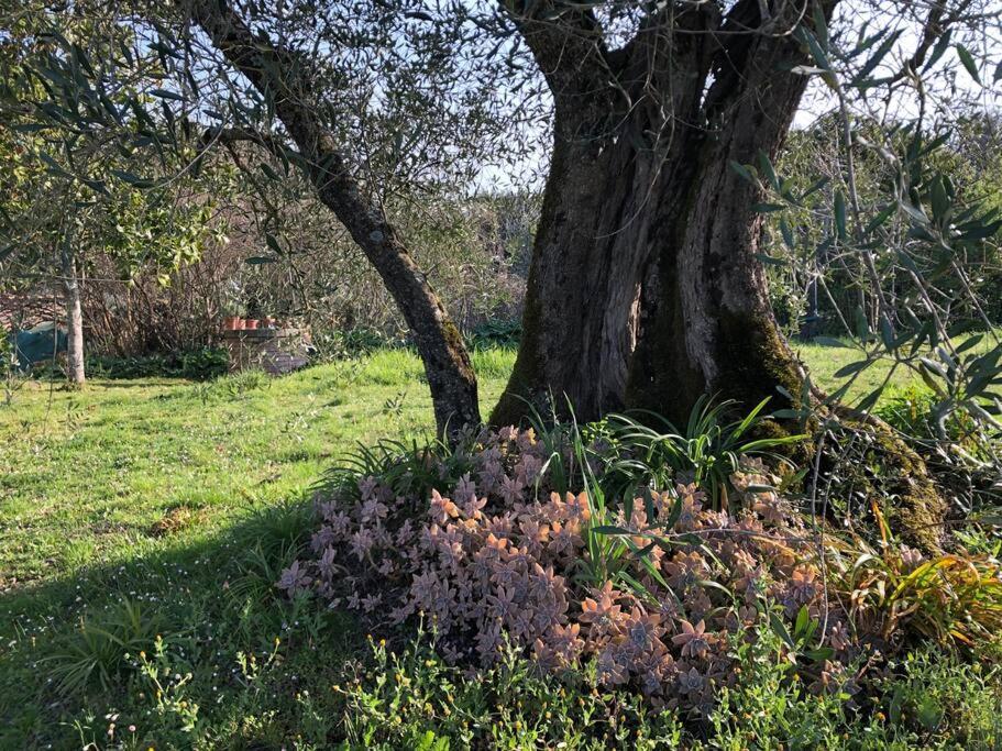 La Vigna Agriturismo Villa Siena Dış mekan fotoğraf
