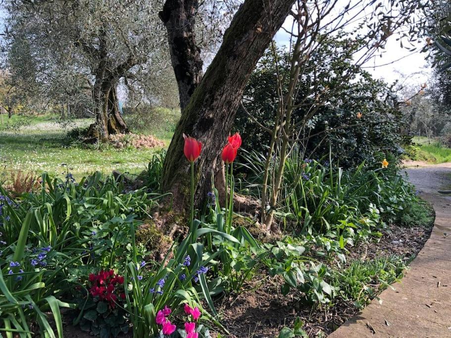 La Vigna Agriturismo Villa Siena Dış mekan fotoğraf
