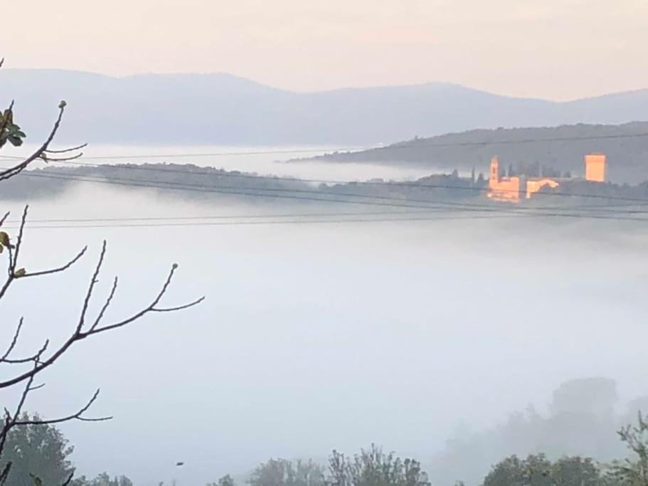 La Vigna Agriturismo Villa Siena Dış mekan fotoğraf