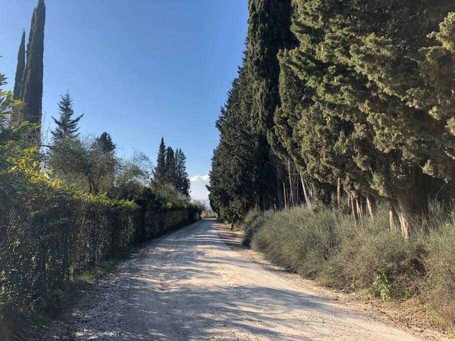 La Vigna Agriturismo Villa Siena Dış mekan fotoğraf
