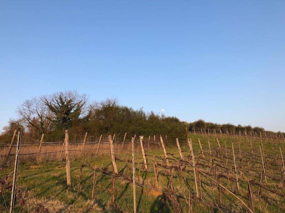 La Vigna Agriturismo Villa Siena Dış mekan fotoğraf