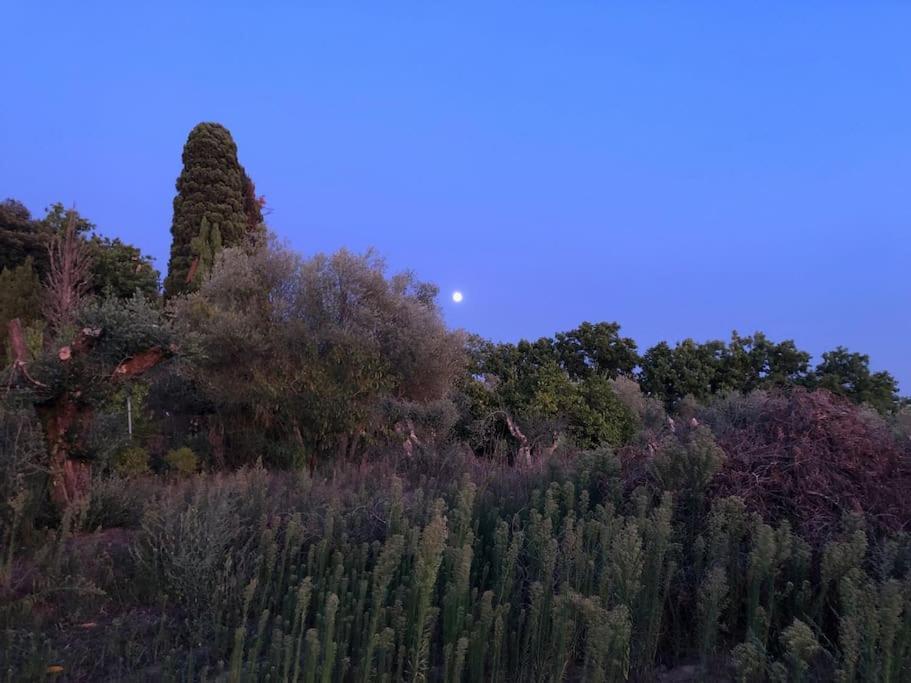 La Vigna Agriturismo Villa Siena Dış mekan fotoğraf