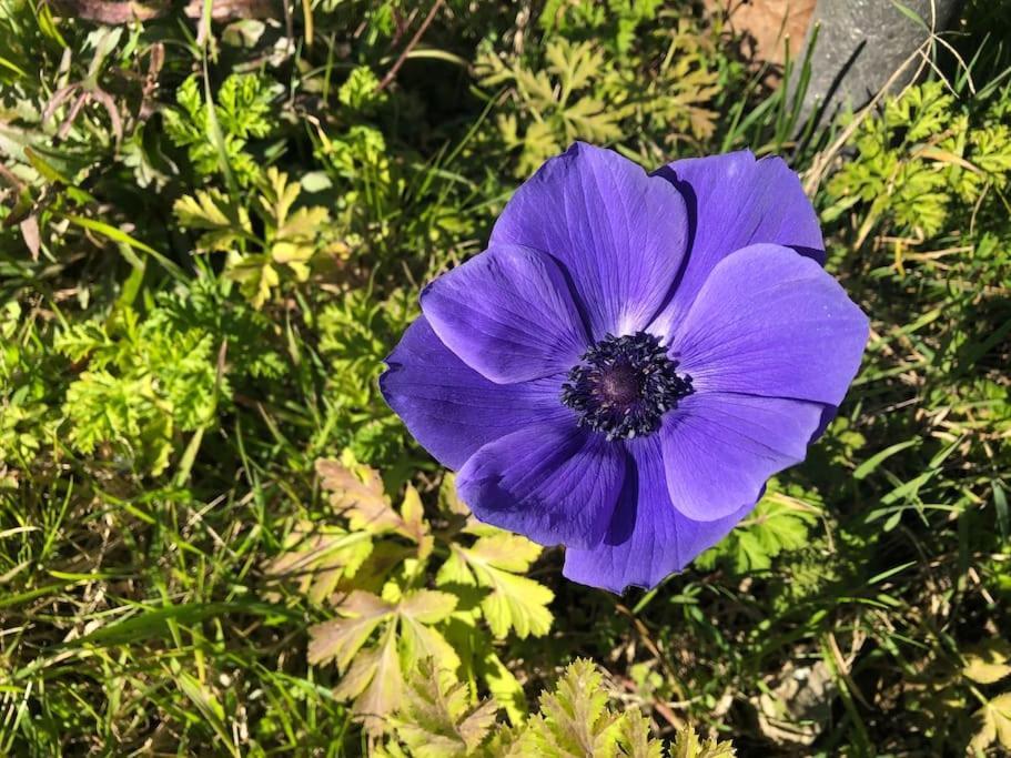 La Vigna Agriturismo Villa Siena Dış mekan fotoğraf