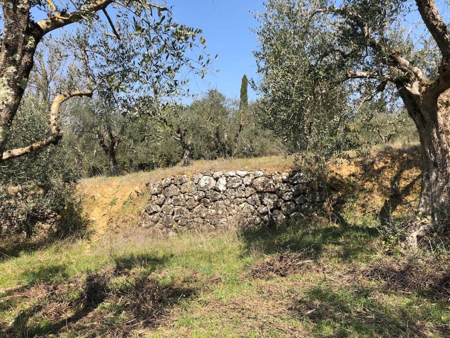 La Vigna Agriturismo Villa Siena Dış mekan fotoğraf