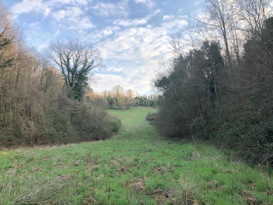 La Vigna Agriturismo Villa Siena Dış mekan fotoğraf