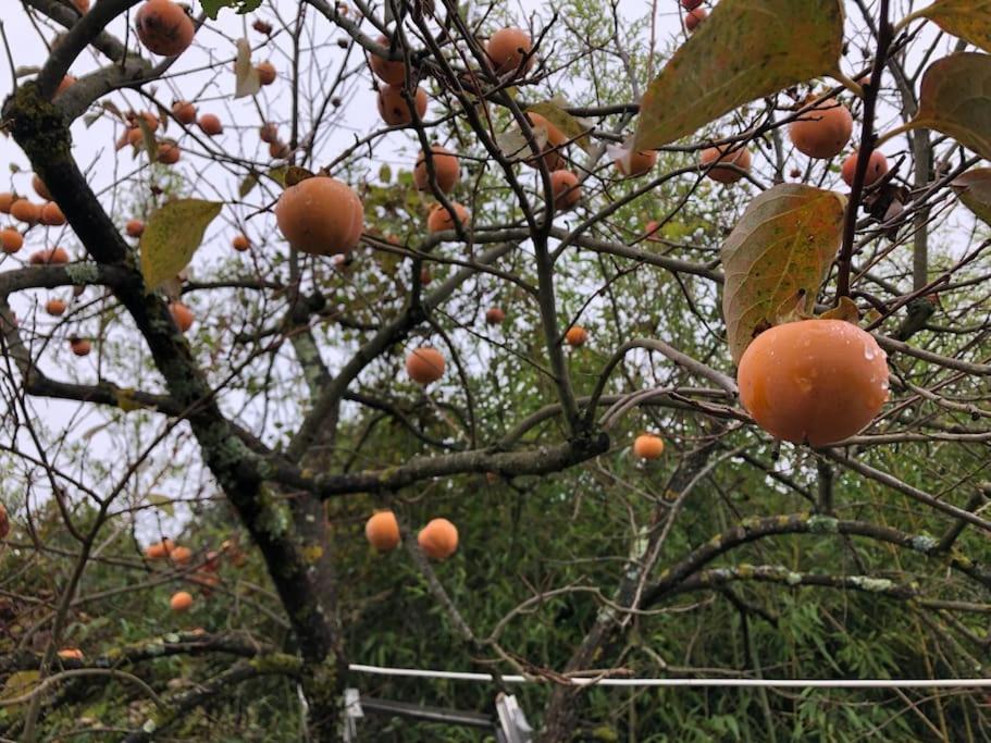 La Vigna Agriturismo Villa Siena Dış mekan fotoğraf