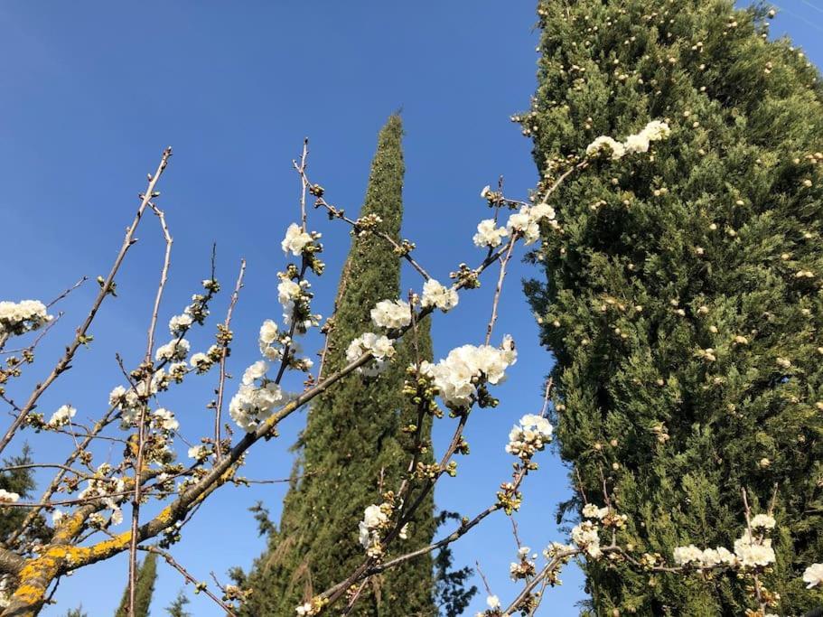 La Vigna Agriturismo Villa Siena Dış mekan fotoğraf