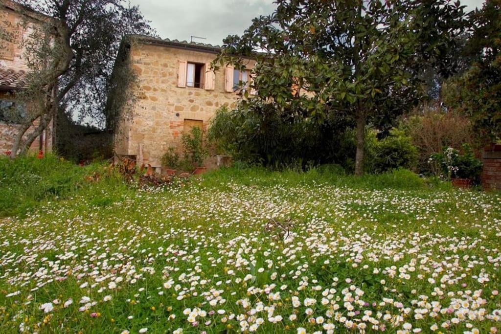 La Vigna Agriturismo Villa Siena Dış mekan fotoğraf